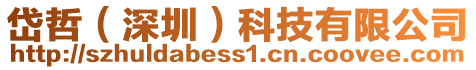 岱哲（深圳）科技有限公司