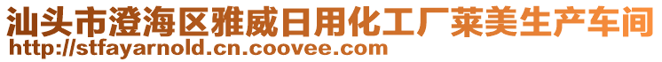 汕頭市澄海區(qū)雅威日用化工廠萊美生產(chǎn)車間