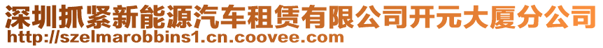 深圳抓緊新能源汽車租賃有限公司開元大廈分公司