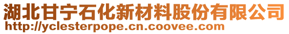 湖北甘寧石化新材料股份有限公司