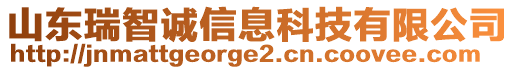 山東瑞智誠信息科技有限公司