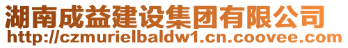 湖南成益建設(shè)集團(tuán)有限公司