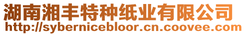 湖南湘豐特種紙業有限公司