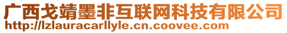 廣西戈靖墨非互聯網科技有限公司