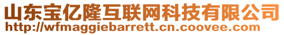 山東寶億隆互聯網科技有限公司