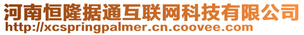 河南恒隆據(jù)通互聯(lián)網(wǎng)科技有限公司