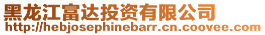 黑龍江富達投資有限公司
