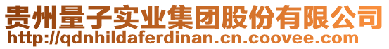 貴州量子實(shí)業(yè)集團(tuán)股份有限公司