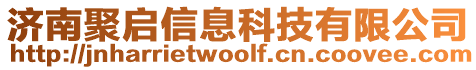 濟南聚啟信息科技有限公司