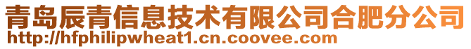 青島辰青信息技術(shù)有限公司合肥分公司