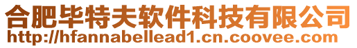 合肥畢特夫軟件科技有限公司