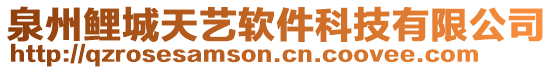 泉州鯉城天藝軟件科技有限公司