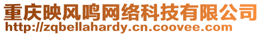 重慶映風(fēng)鳴網(wǎng)絡(luò)科技有限公司