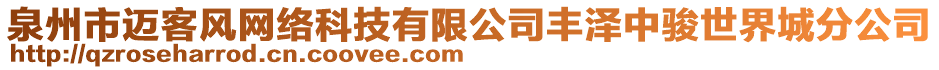 泉州市邁客風(fēng)網(wǎng)絡(luò)科技有限公司豐澤中駿世界城分公司