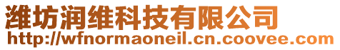 濰坊潤維科技有限公司