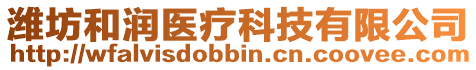 濰坊和潤醫療科技有限公司
