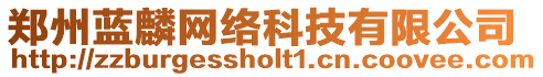 鄭州藍(lán)麟網(wǎng)絡(luò)科技有限公司