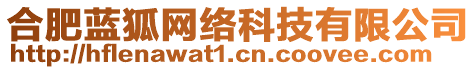 合肥藍(lán)狐網(wǎng)絡(luò)科技有限公司