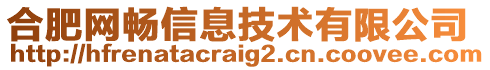 合肥網暢信息技術有限公司