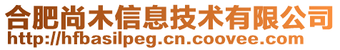 合肥尚木信息技術(shù)有限公司