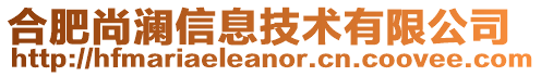 合肥尚瀾信息技術(shù)有限公司