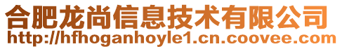 合肥龍尚信息技術(shù)有限公司
