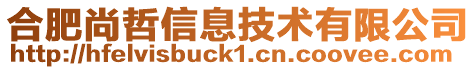 合肥尚哲信息技術有限公司