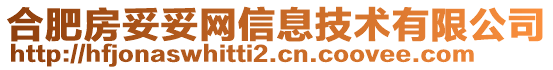 合肥房妥妥網信息技術有限公司