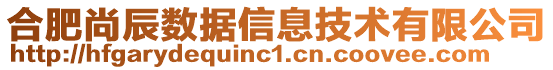 合肥尚辰數(shù)據(jù)信息技術(shù)有限公司