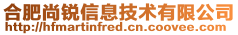 合肥尚銳信息技術有限公司