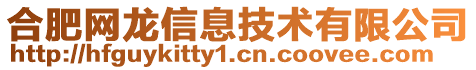 合肥網(wǎng)龍信息技術(shù)有限公司