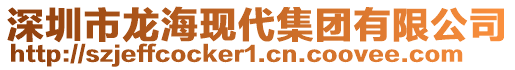 深圳市龍?，F(xiàn)代集團(tuán)有限公司