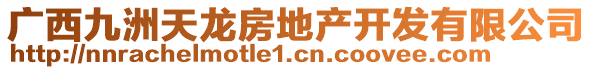 廣西九洲天龍房地產(chǎn)開發(fā)有限公司