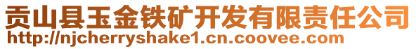 貢山縣玉金鐵礦開發(fā)有限責任公司