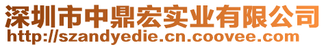深圳市中鼎宏實業有限公司