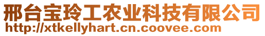 邢臺寶玲工農(nóng)業(yè)科技有限公司