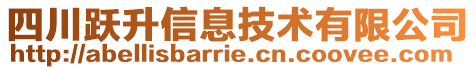 四川躍升信息技術(shù)有限公司