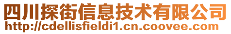 四川探街信息技術(shù)有限公司