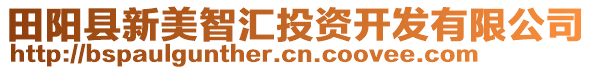 田陽(yáng)縣新美智匯投資開發(fā)有限公司