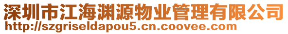 深圳市江海淵源物業(yè)管理有限公司