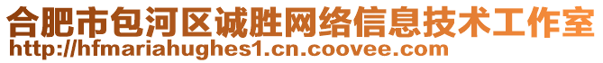 合肥市包河區(qū)誠勝網(wǎng)絡(luò)信息技術(shù)工作室