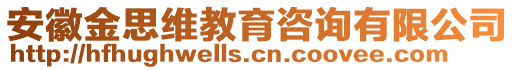 安徽金思維教育咨詢有限公司