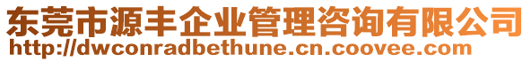 東莞市源豐企業(yè)管理咨詢有限公司