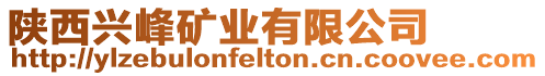 陜西興峰礦業有限公司
