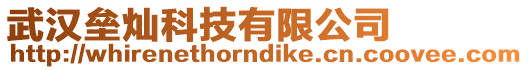 武漢壘燦科技有限公司