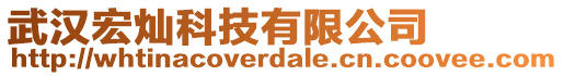 武漢宏燦科技有限公司