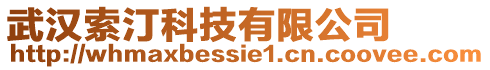 武漢索汀科技有限公司