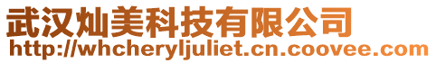 武漢燦美科技有限公司