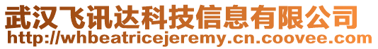 武漢飛訊達(dá)科技信息有限公司