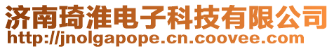 濟(jì)南琦淮電子科技有限公司